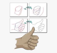 The artist's left hand, in fact only his left one because when observed in mirror it becomes his right one, while his right one. Hand Drawing Tutorial In Case I Ever Need To Draw Draw Anime Thumbs Up Png Image Transparent Png Free Download On Seekpng