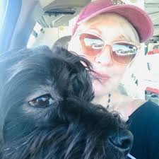 🕎 Happy Hanukkah from Sesame Street! Elmo joins Baby Bear for menorah  lights, latkes, jelly doughnuts, and a spin of the dreidel in this adorable  board book that celebrates the joys of