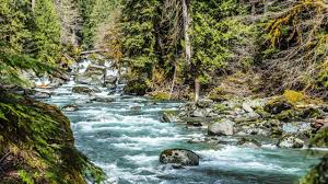 View olympic park campgrounds in a larger map there are sixteen campgrounds in olympic national park. Olympic National Park Staircase Rapids Skokomish River Hd Youtube