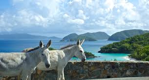 National Park Getaway: Virgin Islands National Park (U.S. National ...