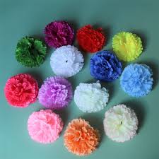 We did not find results for: Silk Carnation Flowers Wholesale Bulk Fake Flower Heads 100 Pcs Vanrina