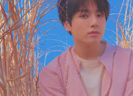 Jungkook Love Yourself 轉 Tear Y Version Love Yourself 轉 Tear グク ジョングク