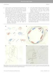 Molecular polarity if feasible and identify the major intermolecular force from each compound hint try this worksheet as permit all chemistry problems . 2