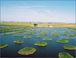 Accesul in delta dunarii se va face doar pe baza de permis, doua automate urmand sa fie instalate in acest sens. Lunca Pescuit In Delta Dunarii Complex Lunca Delta Dunarii Cazare Delta Dunarii Statiune Lunca