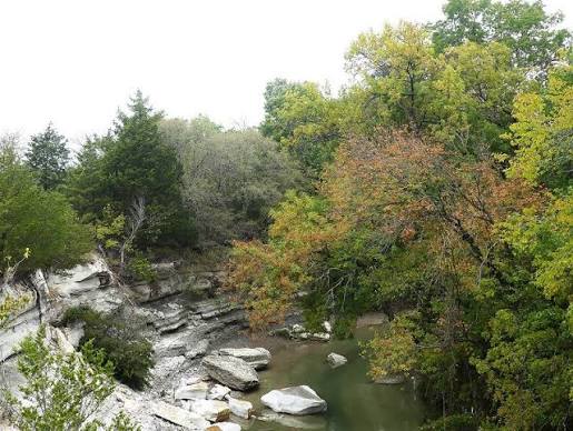 Spring Creek Forest Preserve — Old-Growth Forest Network