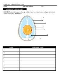 Egg anatomy printable carefully cut it out zigzag fold it along the gray lines color the yolk and label the parts. Parts An Egg Worksheets Teaching Resources Teachers Pay Teachers