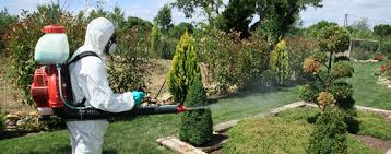 Avec en prime un espace avec une petite mais magnifique expo photos d'oiseaux locaux. Verdir Les Metiers En Lien Avec La Nature