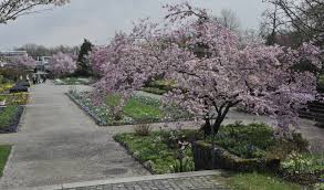 Munchen Nymphenburg Der Vogel Singt Die Blume Lacht Vogelstimmenexkursion Im Botanischen Garten 12 04 2017