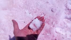 Blutschnee könnte teile deutschlands rot färben. Outdoor Wissen Blutschnee Der Neue Alpenkrimi Wikommunity
