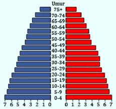 Piramida Penduduk Pengertian Macam Fungsinya Ilmugeografi Com