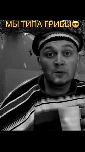 Грибы Исполнитель