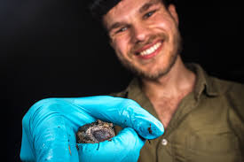 Tim L. Heller Science & Photography (@timlhellersp) • Facebook