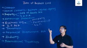 Law Meaning Definition Legal Definition Of Law By Different Authors