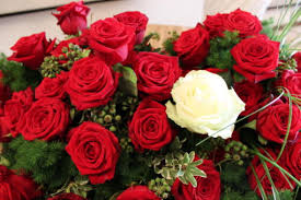 Il nostro mazzo di rose rosse è creato direttamente da noi scegliendo almeno 5 fiori di qualità olandese, rigoglioso verde decorativo e rami di gyphsophila. Cuore Copribara Di Rose Rosse Con Una Rosa Bianca Fiorissimo