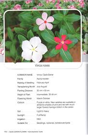 Kasturi maithi is quite a popular herb in india. Indian Garden Flowers Home Gardeners Guide
