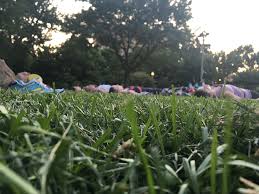 Check out our faq for more info. Enjoy Free Yoga In Wicker Park All Summer Long Asweatlife