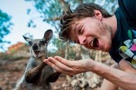 Instagram of the Day: Professional Selfies with Animals — Bird In Flight