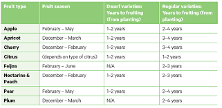 Choose from different varieties such as european, damson, or japanese. All Your Fruit Questions Answered
