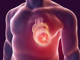 The image of the cancerous colon tissue, in contrast, shows highly disorganized cancer cells stacked upon each other in an apparently random fashion. The Heart Isn T Particularly Vulnerable To Cancer And Here S Why American Heart Association