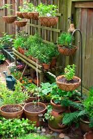Vegetable Garden Design Plans Philippines Creative Vegetable Gardening In Florida Garden Layout Vegetable Container Gardening Vegetables Small Space Gardening