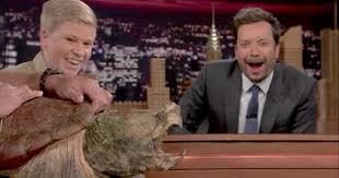 The tonight show starring jimmy fallon. Robert Irwin Brought A Turtle To The Tonight Show Jimmy Fallon Was Terrified Someecards Tv