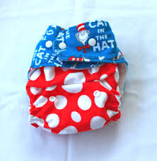 Best cloth diapers in india. Boogie Bear Creations Ai2 Review