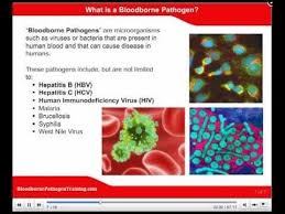 Image result for Bloodborne Pathogen Exposure