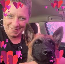 When do belgian malinois lose baby teeth?