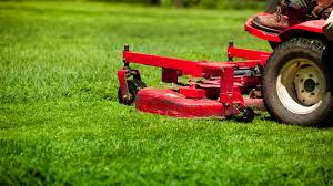What is a good lawn mower for tall grass? Biggest Lawn Care Mistake Is Cutting Grass Too Short