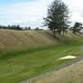 Oregon Men's Team Championship event image