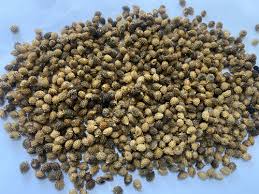 Image result for Dioscoreophyllum