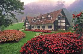 Dates you select, hotel's policy etc.). Staycation In Cameron Highland Cindy S Planet