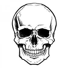 Pin Von Imagen Freedom Auf Art In 2020 Zeichnungen Schadel Schadelzeichnungen Totenkopfillustration