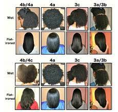 It's a popular protective style among the naturalistas. Hair Type Chart Natural Hair Type Chart Natural Hair Styles