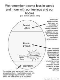 Janina Fisher Phd Psychoeducational Flip Chart