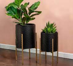 Check spelling or type a new query. Bella Black Patterned Raised Planters With Gold Stand Set Of 2 Pottery Barn