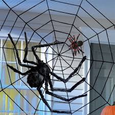 We did not find results for: 40 Giant Spider Decorations And Large Spider Web Halloween For Indoor Outdoor Halloween Decorations Halloween Spider Web Decoration Toys Games Party Supplies Sek Pro De