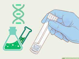 3 Ways To Check A Dog's Pedigree - Wikihow Pet