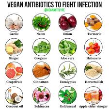 Vegan Fit Life On Instagram Excellent Vegan Antibiotics To Fight Infection If You Re Interested In Protecting You Natural Antibiotics Vegan Antibiotic
