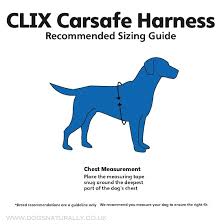 Car Safe Dog Harness Clix Small