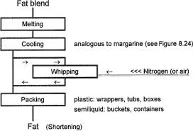 fat as or in food sciencedirect