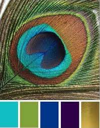 In this post, you will find information about the 13 most stunning colors that go with teal and the visual that each of the combinations will produce. Color Palette Peacock Color Scheme Peacock Colors Color Palette