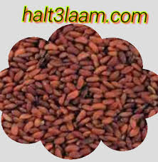 موقع هل تعلم جميع فوائد حب الرشاد العلاجيه Dog Food Recipes Food Animals Food