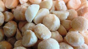 Image result for Macadamia