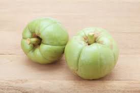 Image result for Garcinia acutifolia