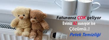 Kartal Petek Temizleme Servisi - 0216 386 47 39