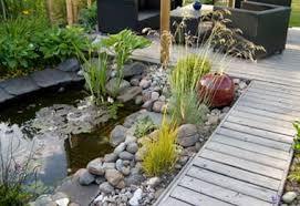 Willing to devote to the beautification of your. Promoting Backyard Biodiversity Through Fish Ponds The Fish Site