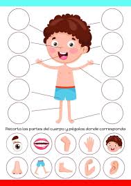 Dios Me Hizo Leccion De La Biblia Para Ninos Trueway Kid En 2020 Actividades De Aprendizaje Del Nino Partes Del Cuerpo Preescolar Actividades Para Ninos Preescolar
