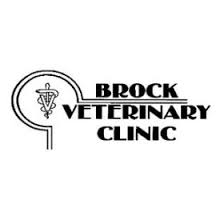 Our clients do not just include pets but their owners as well. Brock Veterinary Clinic Lamesa Texas