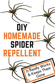 If you like your devices to be backed by actual studies (which we very much do!), then you should consider some other pest control options. How To Get Rid Of Spiders Saving Simplicity